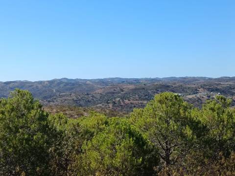 TERRENO COM 137.480 M2 - POSSIBILIDADE DE CONSTRUÇÃO RESIDENCIAL E TURISMO EM GALAXES - VAQUEIROS - ALCOUTIM