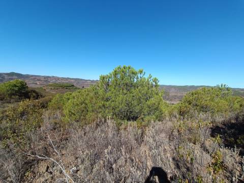 TERRENO COM 137.480 M2 - POSSIBILIDADE DE CONSTRUÇÃO RESIDENCIAL E TURISMO EM GALAXES - VAQUEIROS - ALCOUTIM