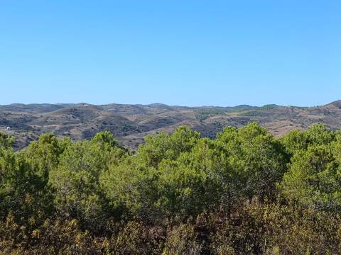 TERRENO COM 137.480 M2 - POSSIBILIDADE DE CONSTRUÇÃO RESIDENCIAL E TURISMO EM GALAXES - VAQUEIROS - ALCOUTIM