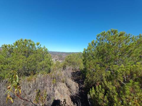 TERRENO COM 137.480 M2 - POSSIBILIDADE DE CONSTRUÇÃO RESIDENCIAL E TURISMO EM GALAXES - VAQUEIROS - ALCOUTIM