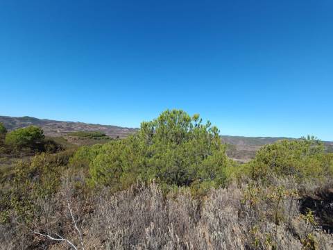 TERRENO COM 137.480 M2 - POSSIBILIDADE DE CONSTRUÇÃO RESIDENCIAL E TURISMO EM GALAXES - VAQUEIROS - ALCOUTIM