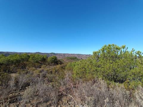 TERRENO COM 137.480 M2 - POSSIBILIDADE DE CONSTRUÇÃO RESIDENCIAL E TURISMO EM GALAXES - VAQUEIROS - ALCOUTIM