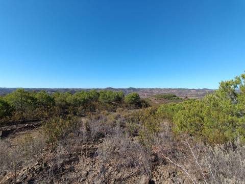 TERRENO COM 137.480 M2 - POSSIBILIDADE DE CONSTRUÇÃO RESIDENCIAL E TURISMO EM GALAXES - VAQUEIROS - ALCOUTIM