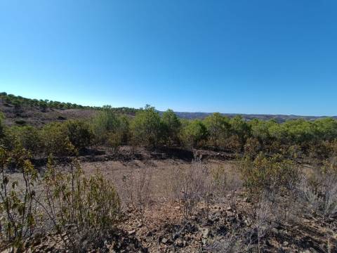 TERRENO COM 137.480 M2 - POSSIBILIDADE DE CONSTRUÇÃO RESIDENCIAL E TURISMO EM GALAXES - VAQUEIROS - ALCOUTIM