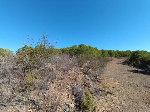 TERRENO COM 137.480 M2 - POSSIBILIDADE DE CONSTRUÇÃO RESIDENCIAL E TURISMO EM GALAXES - VAQUEIROS - ALCOUTIM