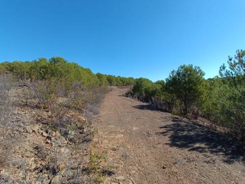 TERRENO COM 137.480 M2 - POSSIBILIDADE DE CONSTRUÇÃO RESIDENCIAL E TURISMO EM GALAXES - VAQUEIROS - ALCOUTIM