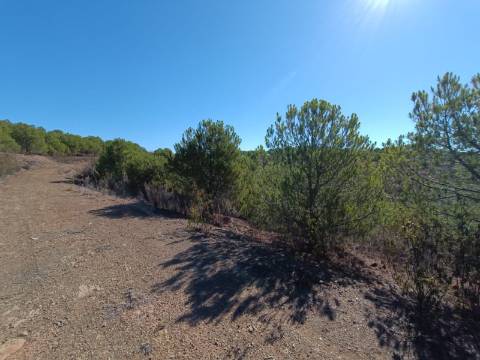 TERRENO COM 137.480 M2 - POSSIBILIDADE DE CONSTRUÇÃO RESIDENCIAL E TURISMO EM GALAXES - VAQUEIROS - ALCOUTIM