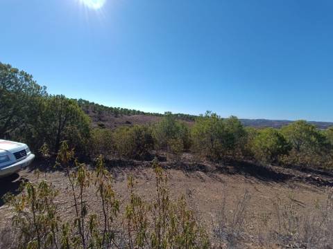 TERRENO COM 137.480 M2 - POSSIBILIDADE DE CONSTRUÇÃO RESIDENCIAL E TURISMO EM GALAXES - VAQUEIROS - ALCOUTIM