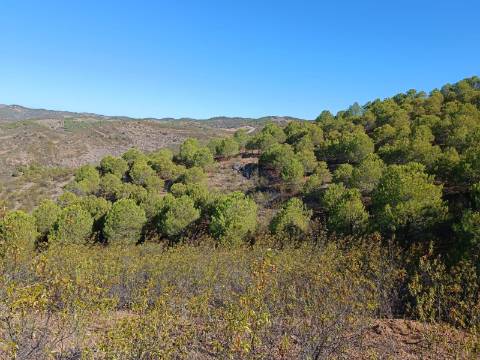 TERRENO COM 137.480 M2 - POSSIBILIDADE DE CONSTRUÇÃO RESIDENCIAL E TURISMO EM GALAXES - VAQUEIROS - ALCOUTIM