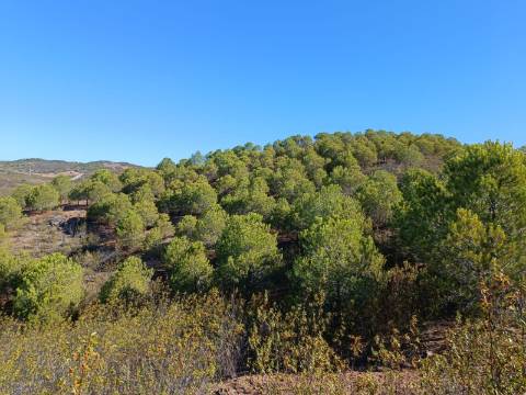 TERRENO COM 137.480 M2 - POSSIBILIDADE DE CONSTRUÇÃO RESIDENCIAL E TURISMO EM GALAXES - VAQUEIROS - ALCOUTIM