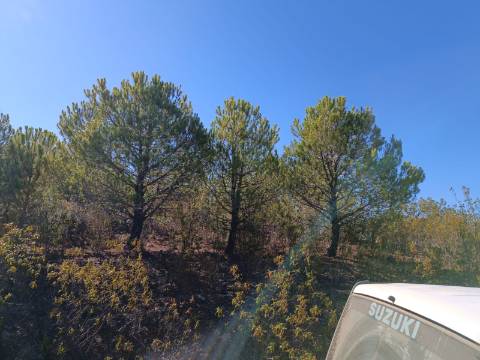 TERRENO COM 137.480 M2 - POSSIBILIDADE DE CONSTRUÇÃO RESIDENCIAL E TURISMO EM GALAXES - VAQUEIROS - ALCOUTIM