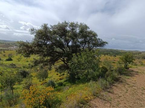 TERRENO COM 26.120 M2 - POSSIBILIDADE DE CONSTRUIR UM ARMAZÉM - RIO SECO - CASTRO MARIM - ALGARVE