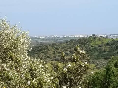 TERRENO COM 26.120 M2 - POSSIBILIDADE DE CONSTRUIR UM ARMAZÉM - RIO SECO - CASTRO MARIM - ALGARVE