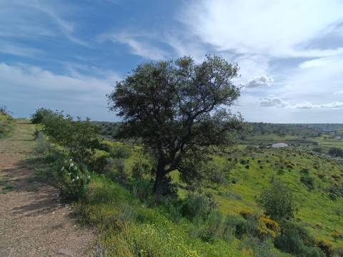 TERRENO COM 26.120 M2 - POSSIBILIDADE DE CONSTRUIR UM ARMAZÉM - RIO SECO - CASTRO MARIM - ALGARVE