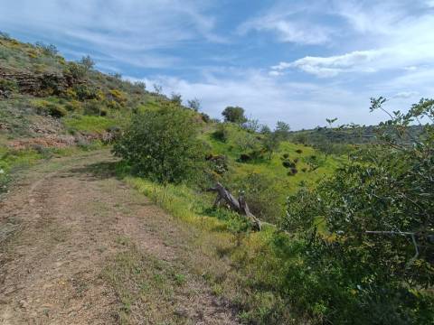 TERRENO COM 26.120 M2 - POSSIBILIDADE DE CONSTRUIR UM ARMAZÉM - RIO SECO - CASTRO MARIM - ALGARVE