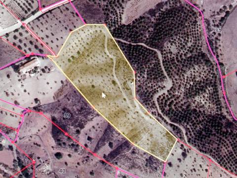 TERRENO COM 26.120 M2 - POSSIBILIDADE DE CONSTRUIR UM ARMAZÉM - RIO SECO - CASTRO MARIM - ALGARVE