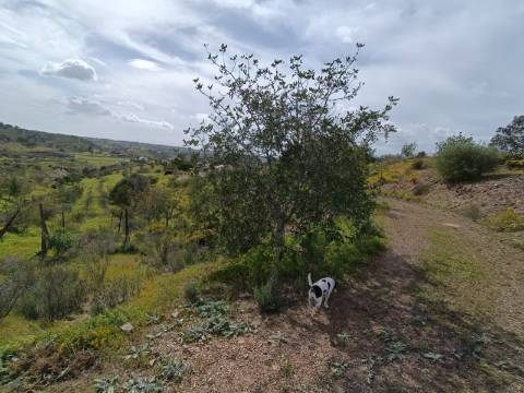 TERRENO COM 26.120 M2 - POSSIBILIDADE DE CONSTRUIR UM ARMAZÉM - RIO SECO - CASTRO MARIM - ALGARVE