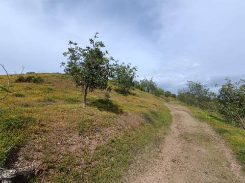 TERRENO COM 26.120 M2 - POSSIBILIDADE DE CONSTRUIR UM ARMAZÉM - RIO SECO - CASTRO MARIM - ALGARVE