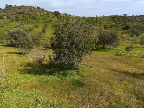 TERRENO COM 26.120 M2 - POSSIBILIDADE DE CONSTRUIR UM ARMAZÉM - RIO SECO - CASTRO MARIM - ALGARVE