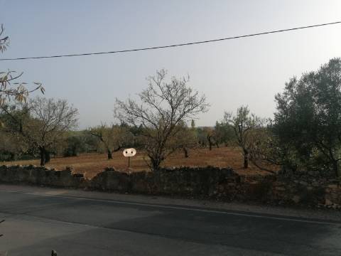 Terreno Urbano para construção de Moradia/s ,8250m2 e 3300m2 de área bruta de construção...