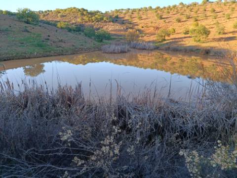 TERRENO COM 145.360 M2 - COM LAGO - POSSIBILIDADE DE CONSTRUÇÃO - TURISMO E HABITAÇÃO - COM VISTA - PRÓXIMO DE ODELEITE - CASTRO MARIM - ALGARVE