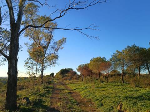 TERRENO COM 145.360 M2 - COM LAGO - POSSIBILIDADE DE CONSTRUÇÃO - TURISMO E HABITAÇÃO - COM VISTA - PRÓXIMO DE ODELEITE - CASTRO MARIM - ALGARVE