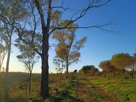 TERRENO COM 145.360 M2 - COM LAGO - POSSIBILIDADE DE CONSTRUÇÃO - TURISMO E HABITAÇÃO - COM VISTA - PRÓXIMO DE ODELEITE - CASTRO MARIM - ALGARVE