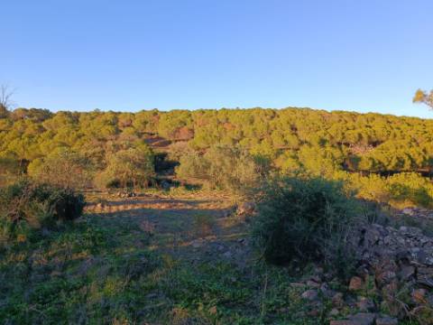 TERRENO COM 145.360 M2 - COM LAGO - POSSIBILIDADE DE CONSTRUÇÃO - TURISMO E HABITAÇÃO - COM VISTA - PRÓXIMO DE ODELEITE - CASTRO MARIM - ALGARVE