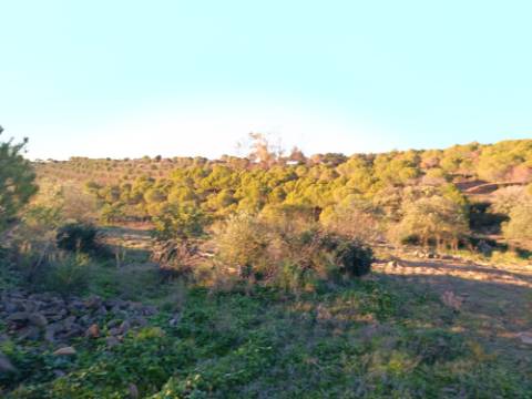 TERRENO COM 145.360 M2 - COM LAGO - POSSIBILIDADE DE CONSTRUÇÃO - TURISMO E HABITAÇÃO - COM VISTA - PRÓXIMO DE ODELEITE - CASTRO MARIM - ALGARVE