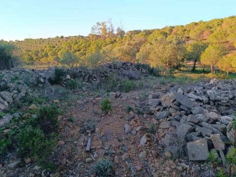 TERRENO COM 145.360 M2 - COM LAGO - POSSIBILIDADE DE CONSTRUÇÃO - TURISMO E HABITAÇÃO - COM VISTA - PRÓXIMO DE ODELEITE - CASTRO MARIM - ALGARVE