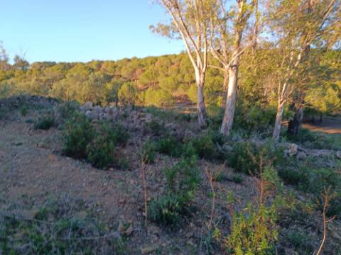 TERRENO COM 145.360 M2 - COM LAGO - POSSIBILIDADE DE CONSTRUÇÃO - TURISMO E HABITAÇÃO - COM VISTA - PRÓXIMO DE ODELEITE - CASTRO MARIM - ALGARVE
