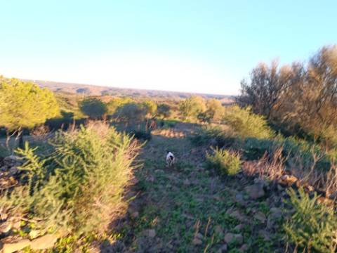TERRENO COM 145.360 M2 - COM LAGO - POSSIBILIDADE DE CONSTRUÇÃO - TURISMO E HABITAÇÃO - COM VISTA - PRÓXIMO DE ODELEITE - CASTRO MARIM - ALGARVE