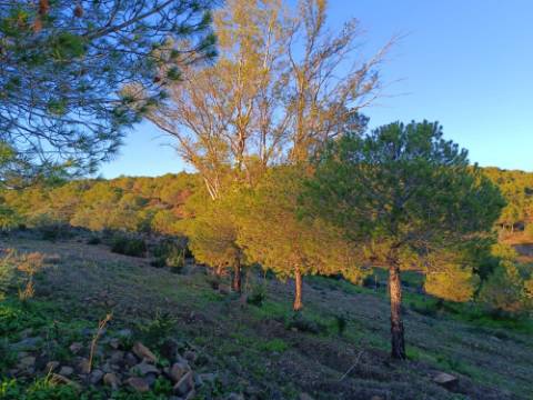 TERRENO COM 145.360 M2 - COM LAGO - POSSIBILIDADE DE CONSTRUÇÃO - TURISMO E HABITAÇÃO - COM VISTA - PRÓXIMO DE ODELEITE - CASTRO MARIM - ALGARVE