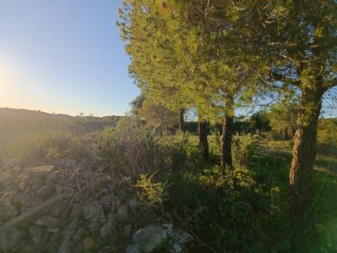 TERRENO COM 145.360 M2 - COM LAGO - POSSIBILIDADE DE CONSTRUÇÃO - TURISMO E HABITAÇÃO - COM VISTA - PRÓXIMO DE ODELEITE - CASTRO MARIM - ALGARVE