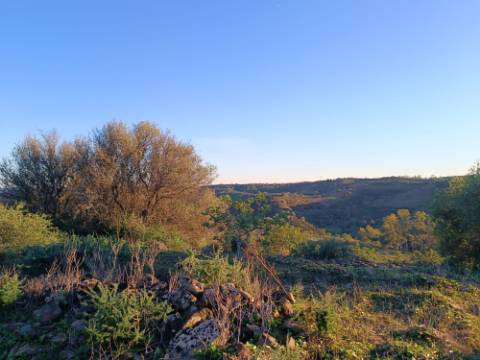 TERRENO COM 145.360 M2 - COM LAGO - POSSIBILIDADE DE CONSTRUÇÃO - TURISMO E HABITAÇÃO - COM VISTA - PRÓXIMO DE ODELEITE - CASTRO MARIM - ALGARVE