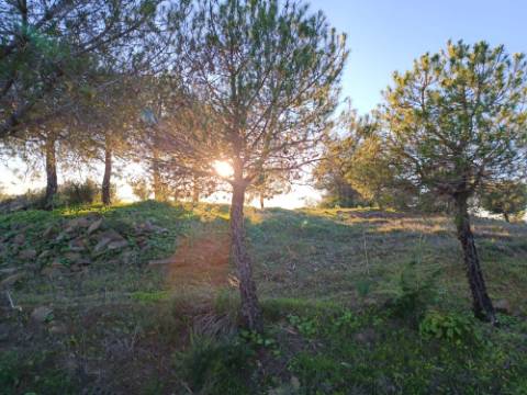 TERRENO COM 145.360 M2 - COM LAGO - POSSIBILIDADE DE CONSTRUÇÃO - TURISMO E HABITAÇÃO - COM VISTA - PRÓXIMO DE ODELEITE - CASTRO MARIM - ALGARVE