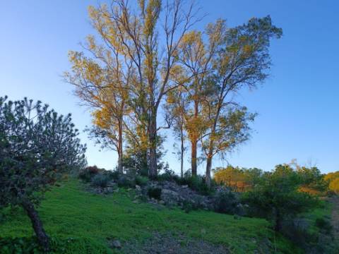 TERRENO COM 145.360 M2 - COM LAGO - POSSIBILIDADE DE CONSTRUÇÃO - TURISMO E HABITAÇÃO - COM VISTA - PRÓXIMO DE ODELEITE - CASTRO MARIM - ALGARVE