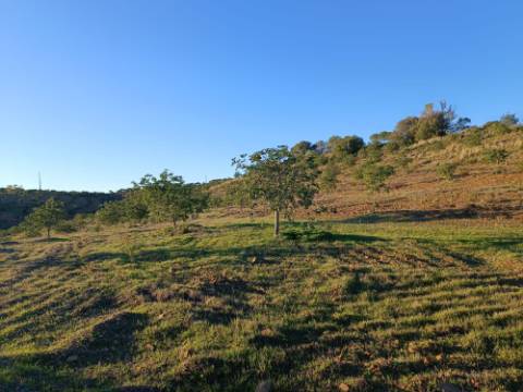 TERRENO COM 145.360 M2 - COM LAGO - POSSIBILIDADE DE CONSTRUÇÃO - TURISMO E HABITAÇÃO - COM VISTA - PRÓXIMO DE ODELEITE - CASTRO MARIM - ALGARVE
