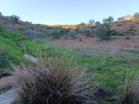 TERRENO COM 145.360 M2 - COM LAGO - POSSIBILIDADE DE CONSTRUÇÃO - TURISMO E HABITAÇÃO - COM VISTA - PRÓXIMO DE ODELEITE - CASTRO MARIM - ALGARVE