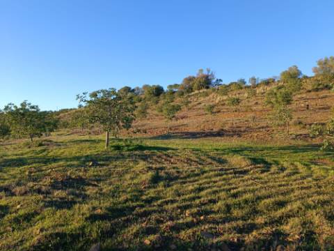TERRENO COM 145.360 M2 - COM LAGO - POSSIBILIDADE DE CONSTRUÇÃO - TURISMO E HABITAÇÃO - COM VISTA - PRÓXIMO DE ODELEITE - CASTRO MARIM - ALGARVE