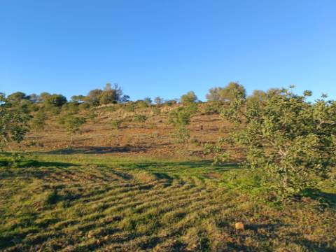 TERRENO COM 145.360 M2 - COM LAGO - POSSIBILIDADE DE CONSTRUÇÃO - TURISMO E HABITAÇÃO - COM VISTA - PRÓXIMO DE ODELEITE - CASTRO MARIM - ALGARVE