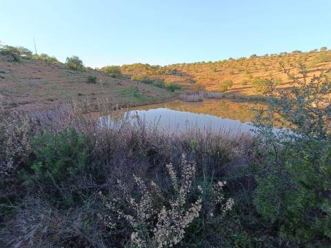 TERRENO COM 145.360 M2 - COM LAGO - POSSIBILIDADE DE CONSTRUÇÃO - TURISMO E HABITAÇÃO - COM VISTA - PRÓXIMO DE ODELEITE - CASTRO MARIM - ALGARVE