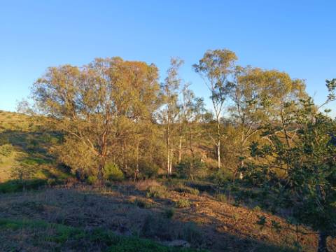 TERRENO COM 145.360 M2 - COM LAGO - POSSIBILIDADE DE CONSTRUÇÃO - TURISMO E HABITAÇÃO - COM VISTA - PRÓXIMO DE ODELEITE - CASTRO MARIM - ALGARVE