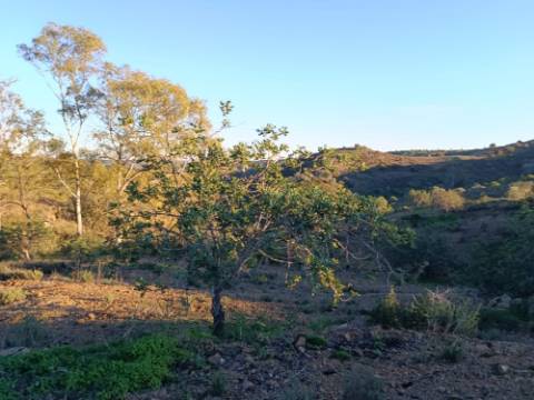 TERRENO COM 145.360 M2 - COM LAGO - POSSIBILIDADE DE CONSTRUÇÃO - TURISMO E HABITAÇÃO - COM VISTA - PRÓXIMO DE ODELEITE - CASTRO MARIM - ALGARVE