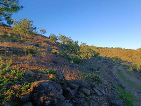 TERRENO COM 145.360 M2 - COM LAGO - POSSIBILIDADE DE CONSTRUÇÃO - TURISMO E HABITAÇÃO - COM VISTA - PRÓXIMO DE ODELEITE - CASTRO MARIM - ALGARVE