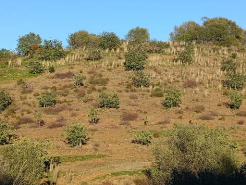TERRENO COM 145.360 M2 - COM LAGO - POSSIBILIDADE DE CONSTRUÇÃO - TURISMO E HABITAÇÃO - COM VISTA - PRÓXIMO DE ODELEITE - CASTRO MARIM - ALGARVE