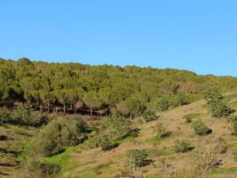TERRENO COM 145.360 M2 - COM LAGO - POSSIBILIDADE DE CONSTRUÇÃO - TURISMO E HABITAÇÃO - COM VISTA - PRÓXIMO DE ODELEITE - CASTRO MARIM - ALGARVE