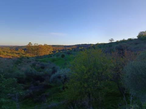 TERRENO COM 145.360 M2 - COM LAGO - POSSIBILIDADE DE CONSTRUÇÃO - TURISMO E HABITAÇÃO - COM VISTA - PRÓXIMO DE ODELEITE - CASTRO MARIM - ALGARVE