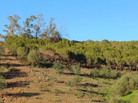 TERRENO COM 145.360 M2 - COM LAGO - POSSIBILIDADE DE CONSTRUÇÃO - TURISMO E HABITAÇÃO - COM VISTA - PRÓXIMO DE ODELEITE - CASTRO MARIM - ALGARVE