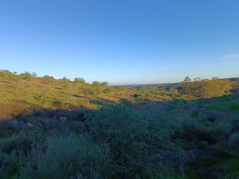 TERRENO COM 145.360 M2 - COM LAGO - POSSIBILIDADE DE CONSTRUÇÃO - TURISMO E HABITAÇÃO - COM VISTA - PRÓXIMO DE ODELEITE - CASTRO MARIM - ALGARVE